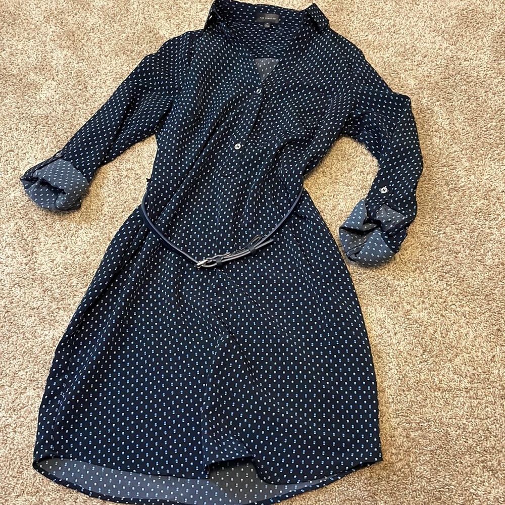 The Limited Dress